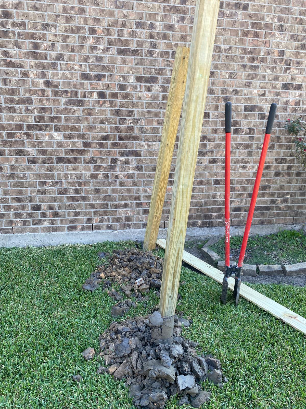 November, 2024 - Page 2 - Image 4