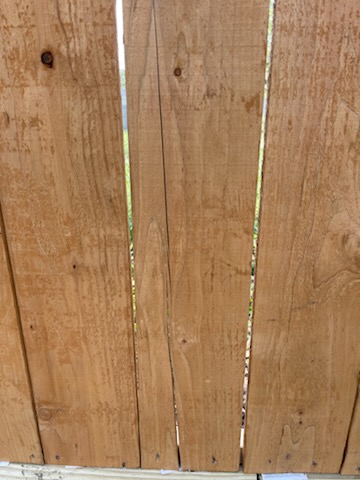 November, 2024 - Image 6