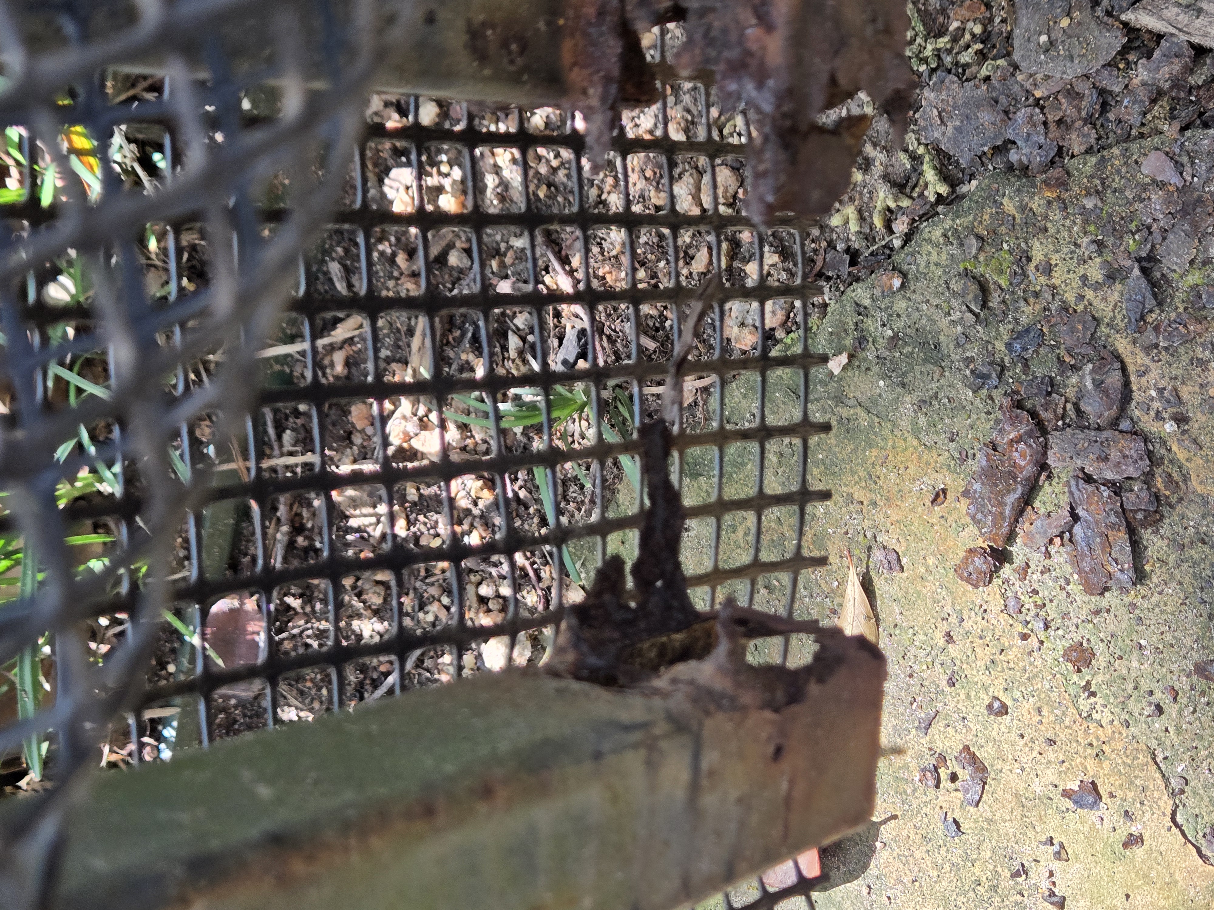 Fencing and Gates Services for Homes and Businesses in Houston - Image 7